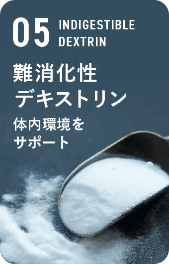難消化デキストリン 体内環境をサポート