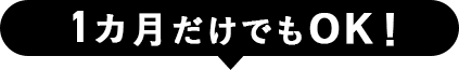 1カ月だけでもOK!
